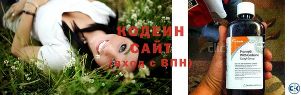 амф Гусев