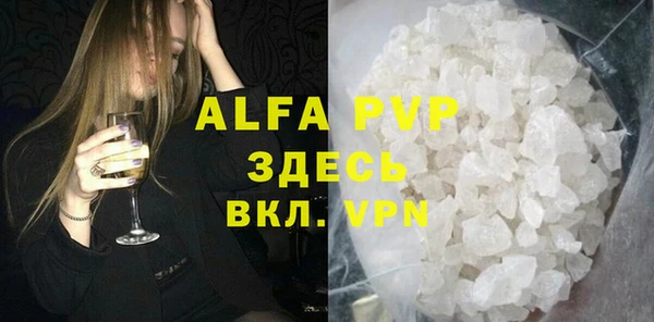 амф Гусев