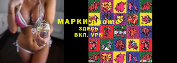 амф Гусев