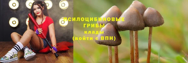 мдпв Гусь-Хрустальный