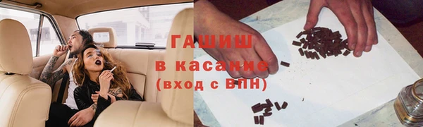 амф Гусев