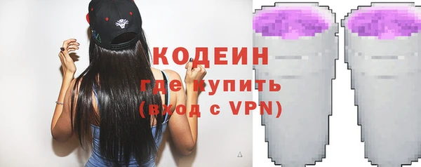 мдпв Гусь-Хрустальный