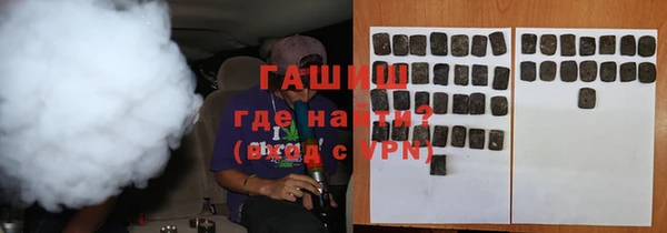 амф Гусев