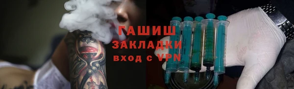 амф Гусев