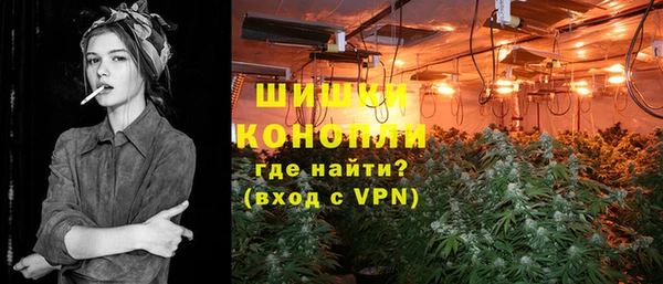 мдпв Гусь-Хрустальный