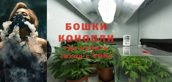мдпв Гусь-Хрустальный