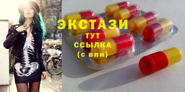 амф Гусев