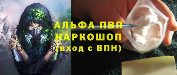 мдпв Гусь-Хрустальный
