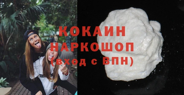 амф Гусев