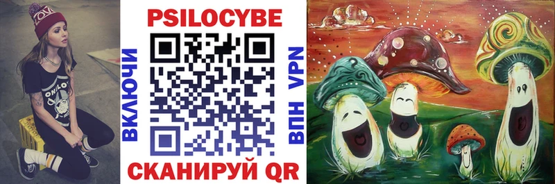 Псилоцибиновые грибы Psilocybe  Купить закладки  Новоаннинский 